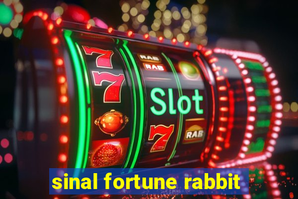 sinal fortune rabbit